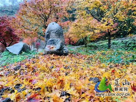 湘江源瑶族乡：三产融合走出瑶乡致富“新路子”_乡镇动态_蓝山县人民政府