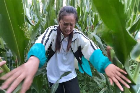 农村媳妇到地里摘西瓜，被吓得手足无措往外跑，看到了啥？_凤凰网视频_凤凰网