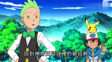 导电飞鼠(电飞鼠)图片 导电飞鼠(电飞鼠)图片