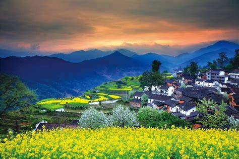 婺源何止是中国最美的乡村，婺源的美在于自然 婺源旅游攻略-介绍婺源油菜花|婺源景点|中国最美的乡村婺源