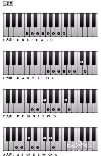 钢琴各个调位对应键盘上的位置 我说的琴键的位置_百度知道