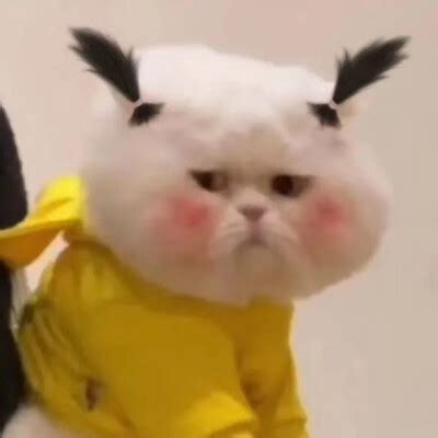 有趣头像非主流