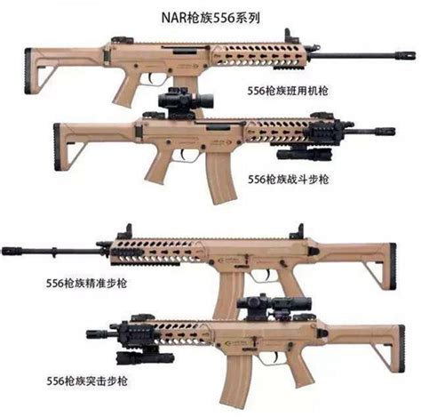 【模块化战斗步枪】robinson公司XCR美图|步枪|模块化_新浪新闻