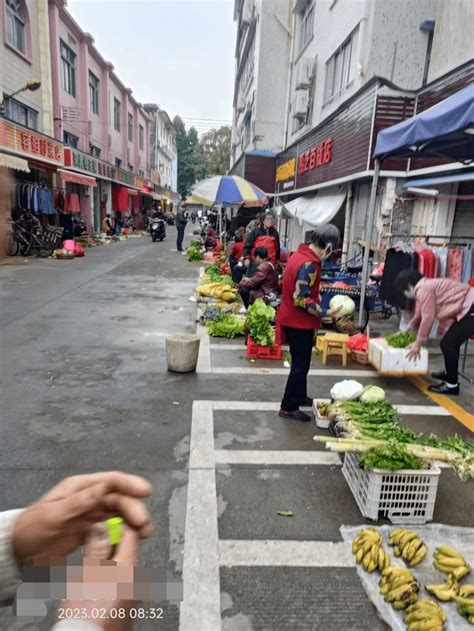 春天的第一波鲜味已上线，“买汰烧”有了新菜色_澎湃号·政务_澎湃新闻-The Paper