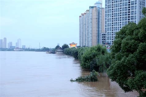 精密测量院发布2020年长江中游汛期水情变化图