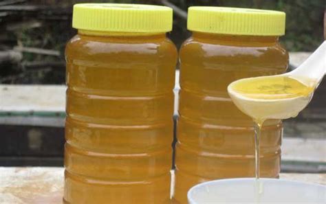 怎么样鉴别蜂蜜真假 测试真假蜂蜜的方法分享_知秀网