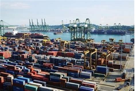 上海国际货运代理合作量大的原因_上海国际货运代理-上海沃中国际货运代理有限公司