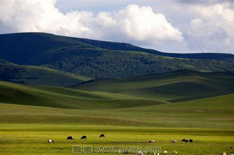 新华全媒+丨内蒙古旅游那达慕大会开幕|那达慕大会|内蒙古|锡林郭勒盟_新浪新闻