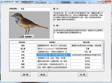 白城机场公司“启翔”鸟情信息分析系统正式启用-中国吉林网