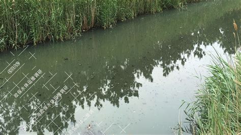 河道黑臭水体治理中存在的黑泥上浮的浮泥问题|浮泥浮藻问题|上海欧保环境:021-58129802