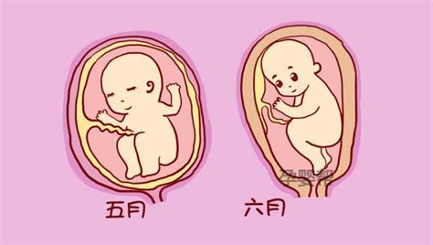 孕晚期38周后，胎儿增长速度你知道吗？临近分娩这几点要注意__财经头条