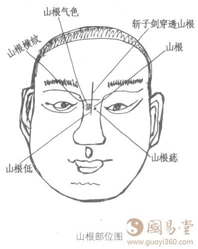 面相图解大全图片