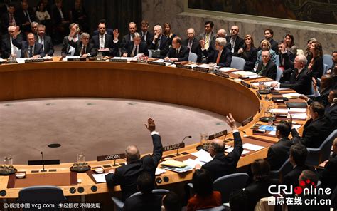 联合国安理会通过叙利亚和平进程决议(组图)_新浪新闻