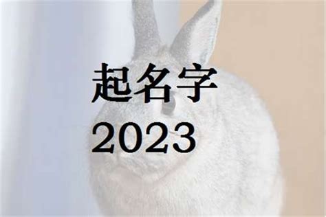 2023年属兔取名宜用字_起名问答-美名宝起名网