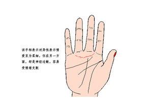正确的子女线图解图片