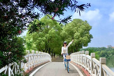 形形色色的桥【武汉 江夏区 汤逊藏龙岛国家湿地公园】|汤逊|藏龙岛|国家湿地公园_新浪新闻