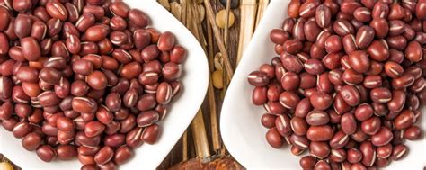 红扁豆种植时间和方法 - 花百科