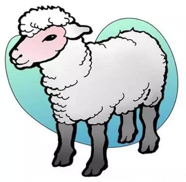 征集┃“湖州湖羊”区域公用品牌LOGO标识征集活动开始啦！
