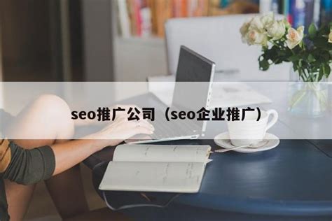 seo推广公司（seo企业推广） - 恩派SEO