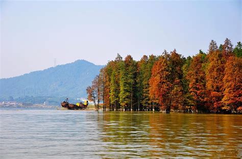 南昌青山湖区：“百度飞桨”正式上线运营 产业发展有了“最强大脑” - 青山湖区人民政府