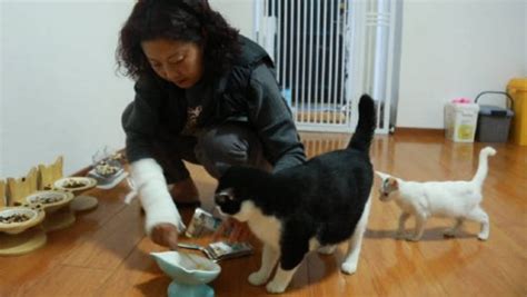 南京阿姨为猫租房救助流浪猫：每天要喂四五十只_凤凰网