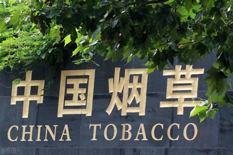 中国每年超百万人因烟草失去生命：为什么不直接关闭烟草厂？ - 脉脉