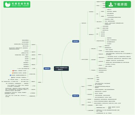 八上政治思维导图图片