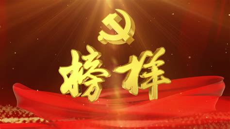 海报丨感受党代表风采，看党旗在飘扬 - 时政 - 湖南在线 - 华声在线