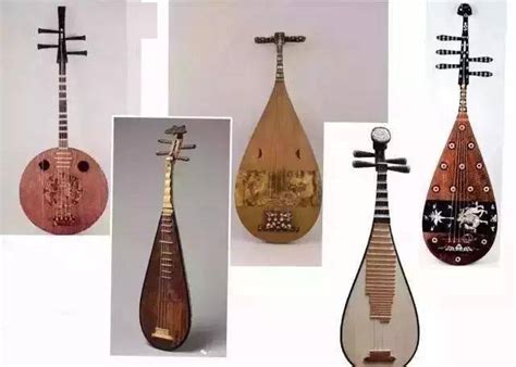 知音解秘：琵琶与吉他的起源-乐器文化-丝竹知音_民族乐器学习网