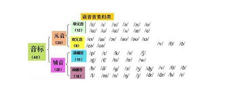 元音、辅音是什么？汉语中也有吗？和声母、韵母有什么区别