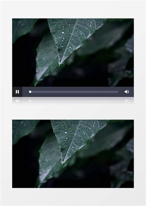 实拍雨后随风飘动的叶子实拍视频素材模板下载_叶子_图客巴巴