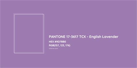 PANTONE 17-3617 TCX - English Lavender Complementary or Opposite Color ...
