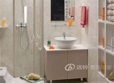 远铃整体浴室 浪漫花镜1616SD型（标准款） - 远铃整体浴室 - 九正建材网