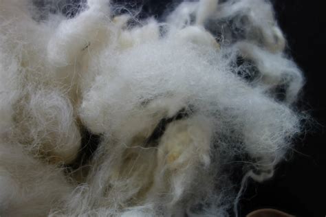 2021年4月澳大利亚羊毛产量预测报告-南京恩凯化工有限公司