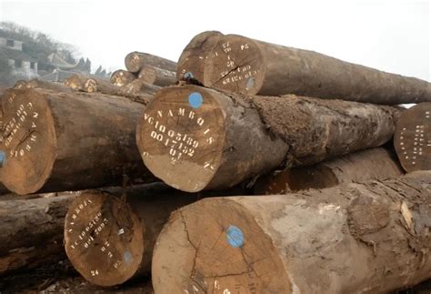 机构预测：全球木材市场将在2024年迎来增长，而2023年将持稳_行业资讯_木头云