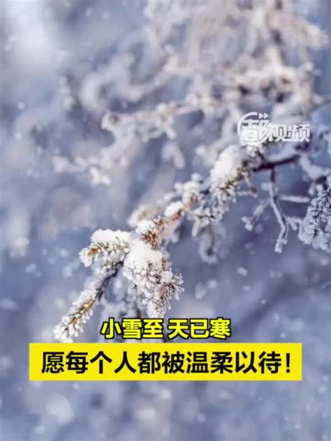 小雪至，天已寒，愿每个人都被温柔以待！_手机新浪网