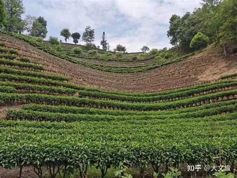 临沧：推出三条茶旅精品线路！到2025年，创建5A级景区1家 - 知乎