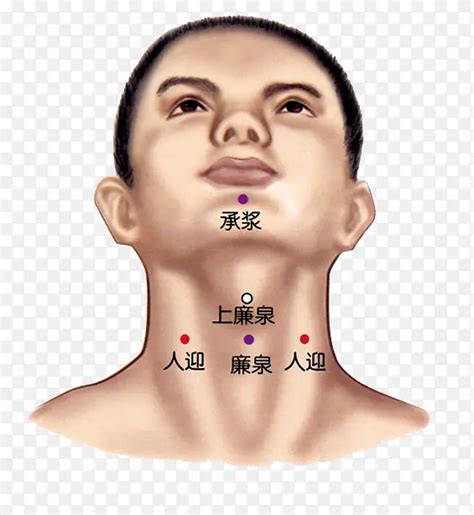 颈部穴位图图片