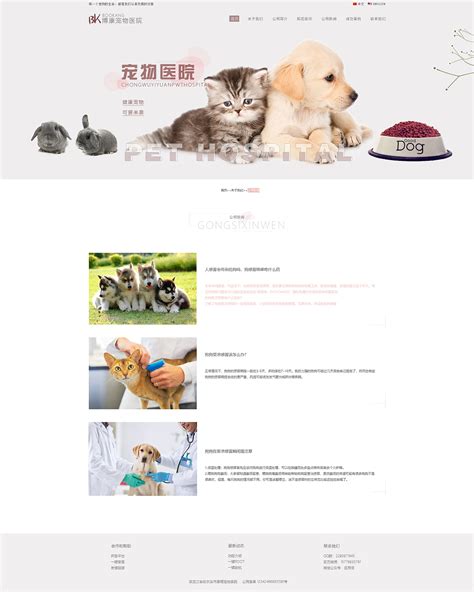 「博康宠物医院」网站设计|网页|企业官网|一朵嘻瓜 - 原创作品 - 站酷 (ZCOOL)