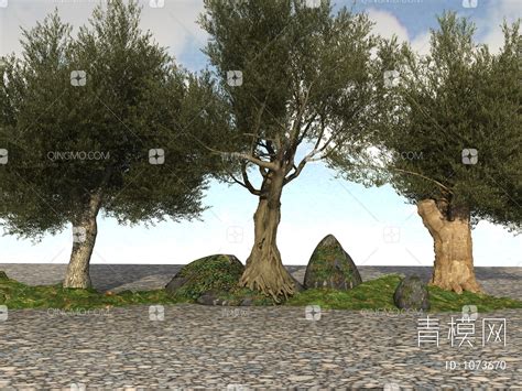 【橄榄树3D模型】-现代VR有灯光有贴图MAX2016橄榄树3d模型下载-ID1073670-免费3Dmax模型库 - 青模3d模型网
