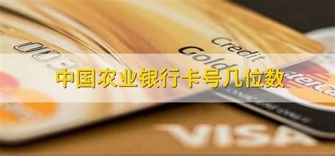 中国农业银行卡号几位数 - 财梯网