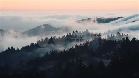 雾气与森林高清图片素材-找素材