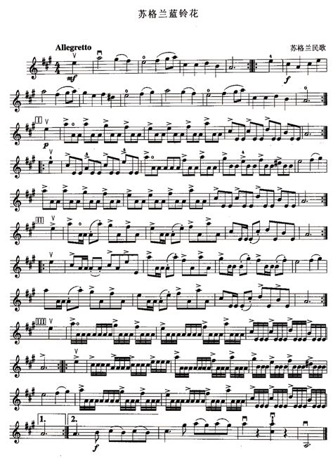 小提琴独奏乐曲形式介绍 | 小提琴作坊