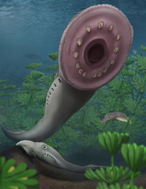 有一种叫云南的生活｜千年前的昆明人有多爱嗦螺蛳？这有座“吃出来”的遗址_云南网