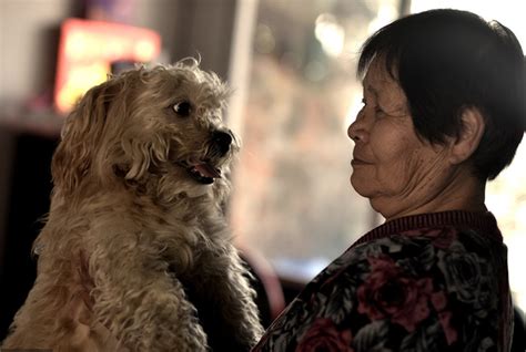 贵阳：探访独居老人生活 与狗为伴-荔枝网图片