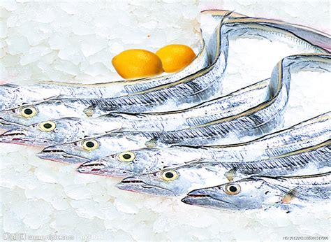 大话舟山海鲜系列（二）—舟山带鱼 - 知乎