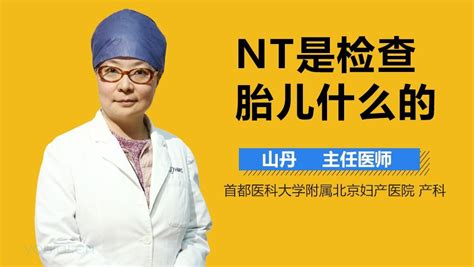 胎儿检查NT是什么意思_中华康网
