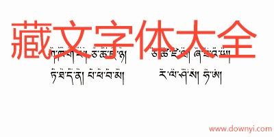 藏文字体下载大全-藏文字体大全集-电脑藏文字体-当易网
