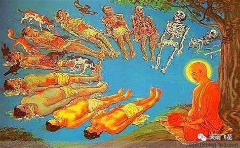 白骨观修炼用图图片