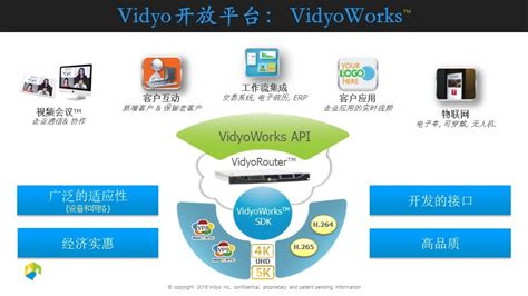 Vidyo视频客服解决方案-北京林克海德科技有限责任公司
